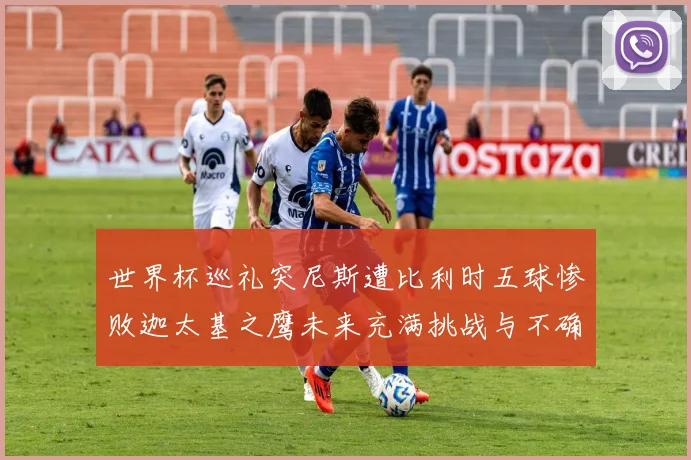 世界杯巡礼突尼斯遭比利时五球惨败迦太基之鹰未来充满挑战与不确定性