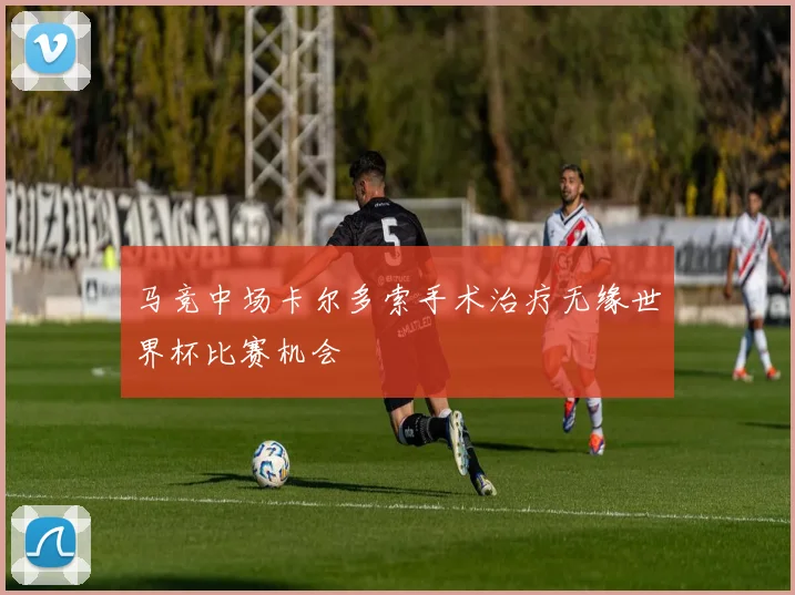 马竞中场卡尔多索手术治疗无缘世界杯比赛机会