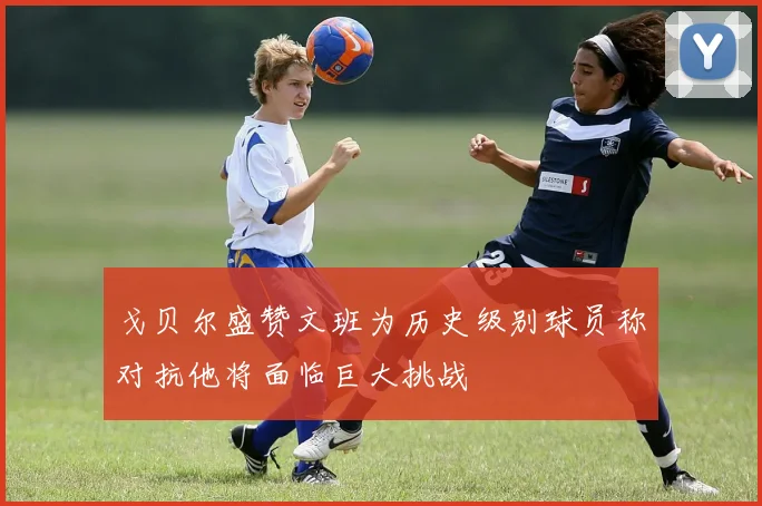 戈贝尔盛赞文班为历史级别球员称对抗他将面临巨大挑战