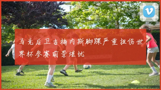 马竞后卫吉梅内斯脚踝严重扭伤世界杯参赛前景堪忧